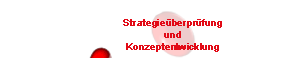 Strategieüberprüfung und Konzeptentwicklung